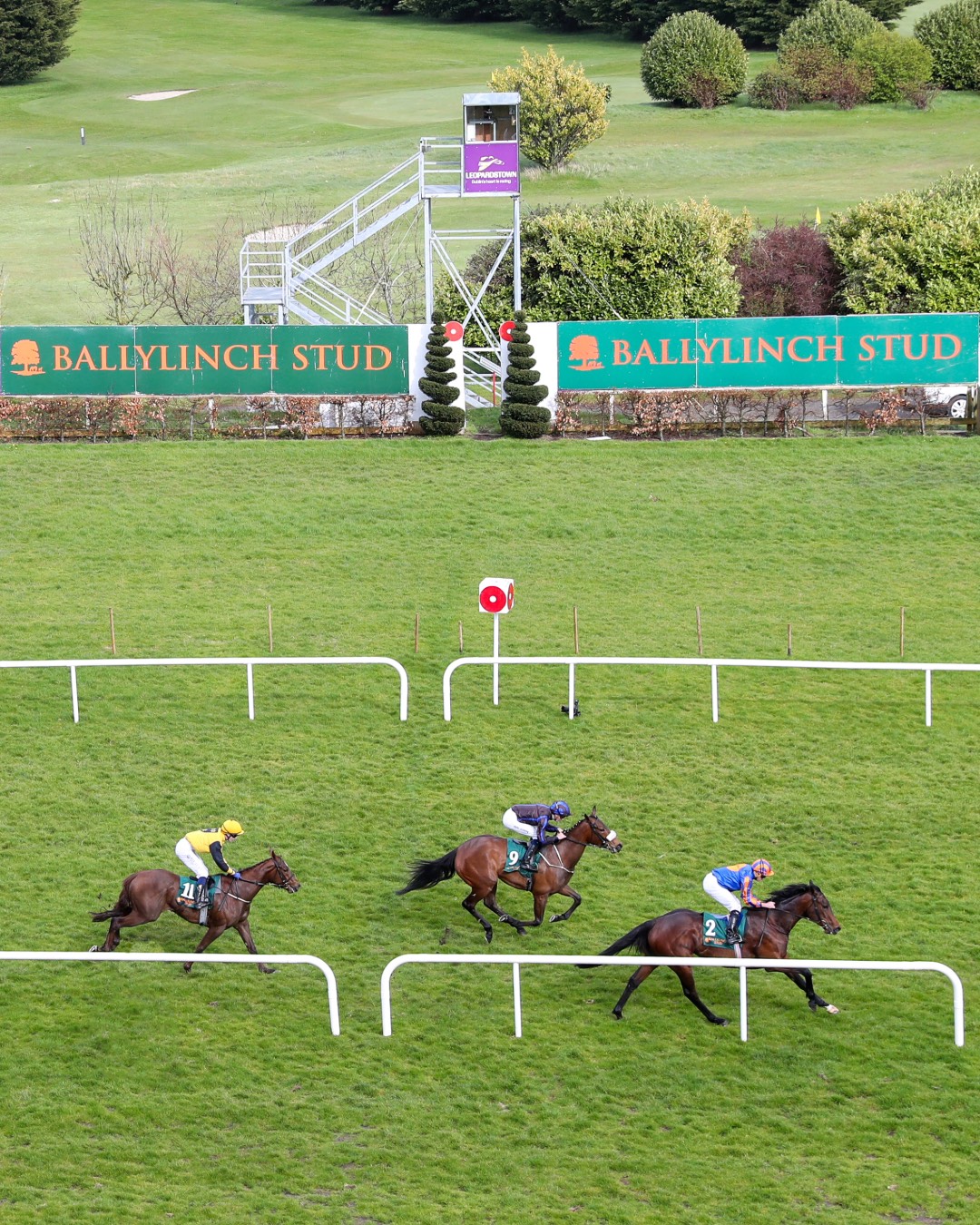Leopardstown 
