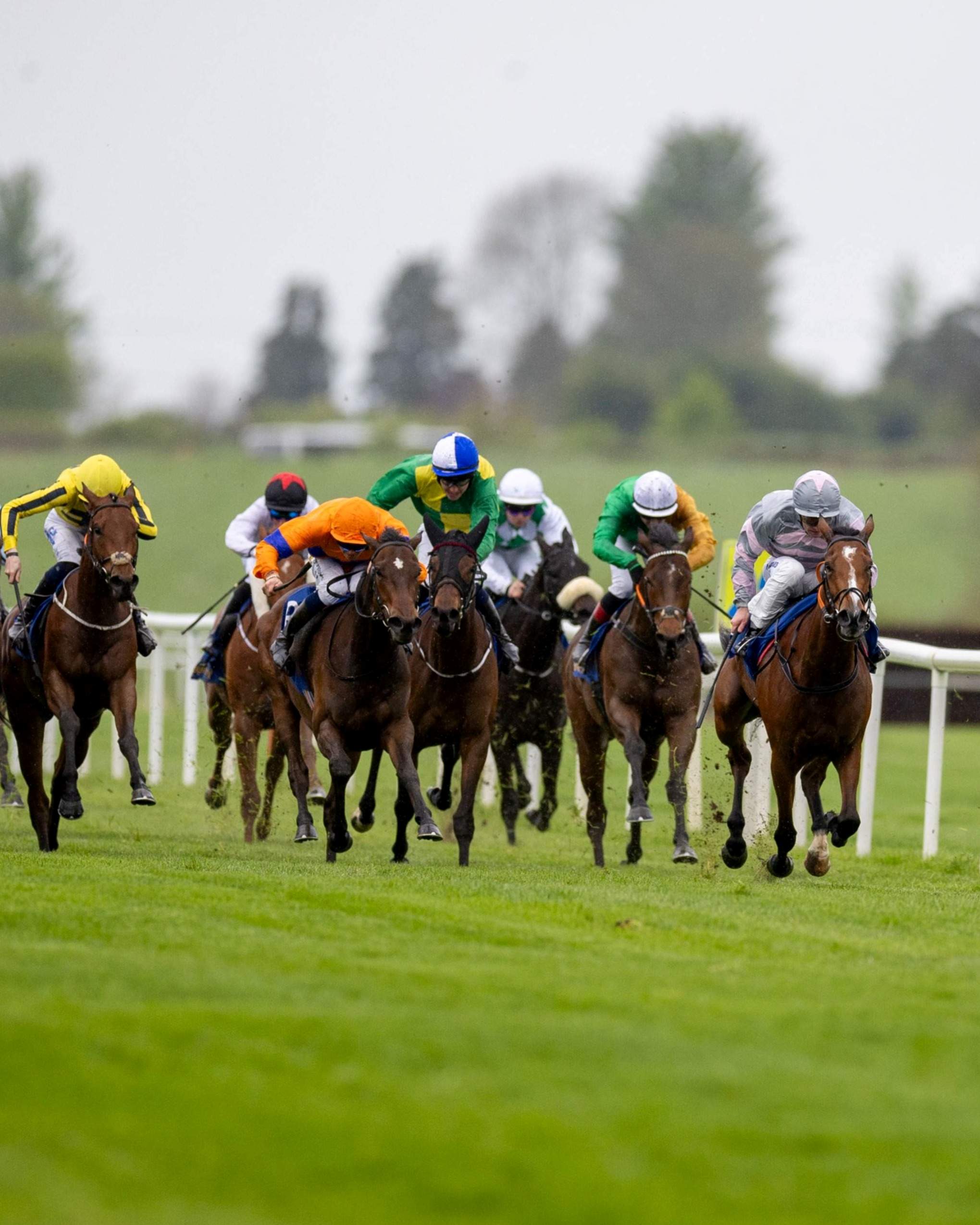 Tipperary 