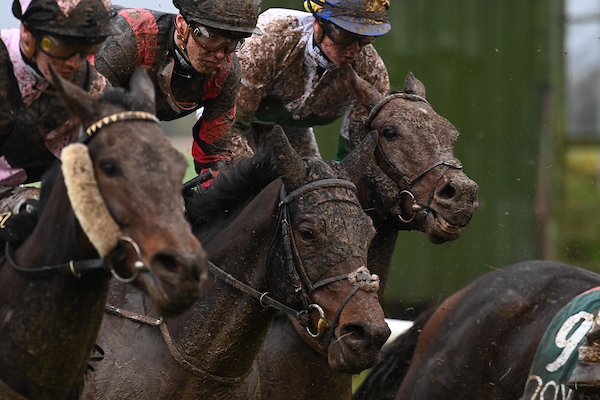Irish Horseracing Board