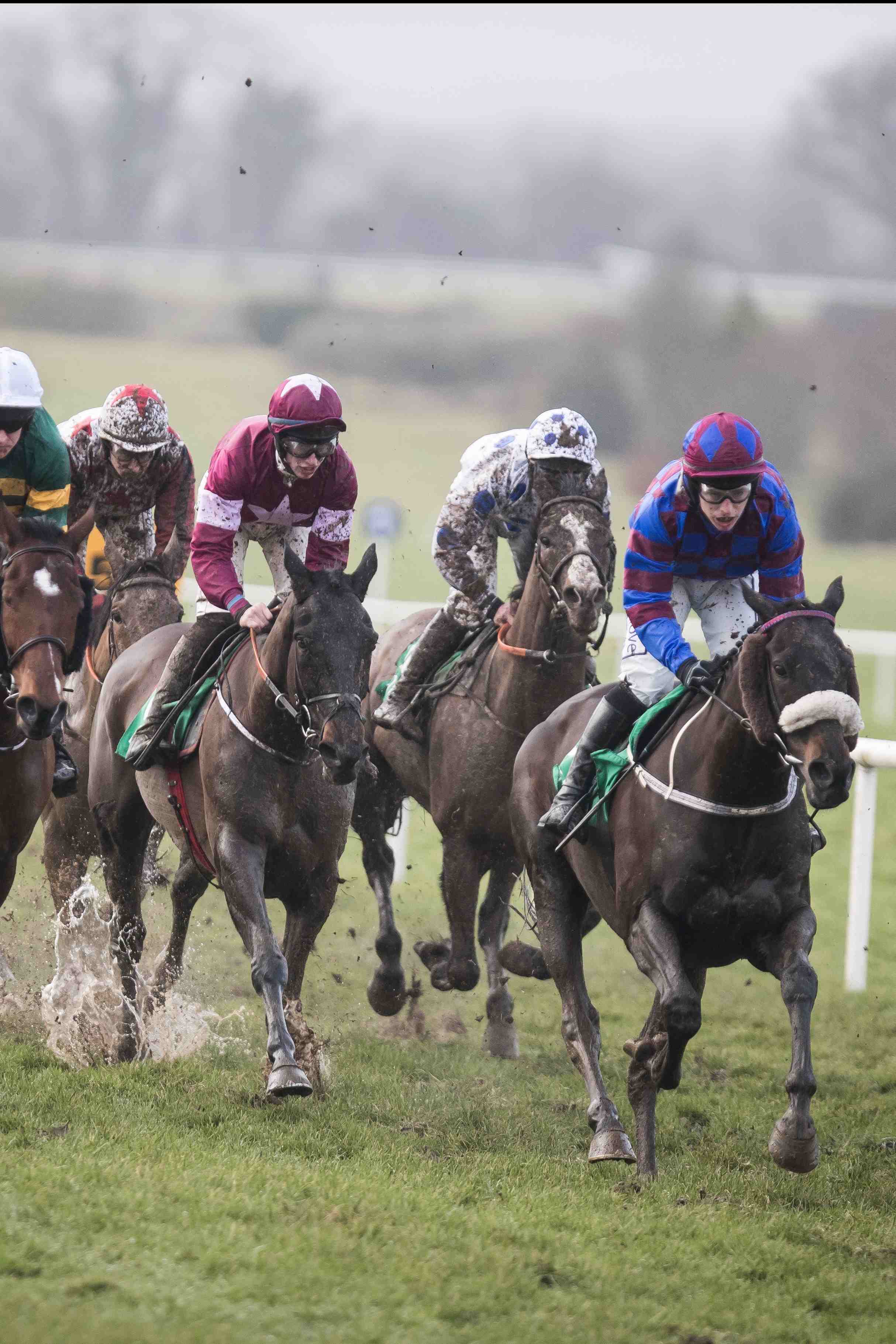 Navan Ground Report 