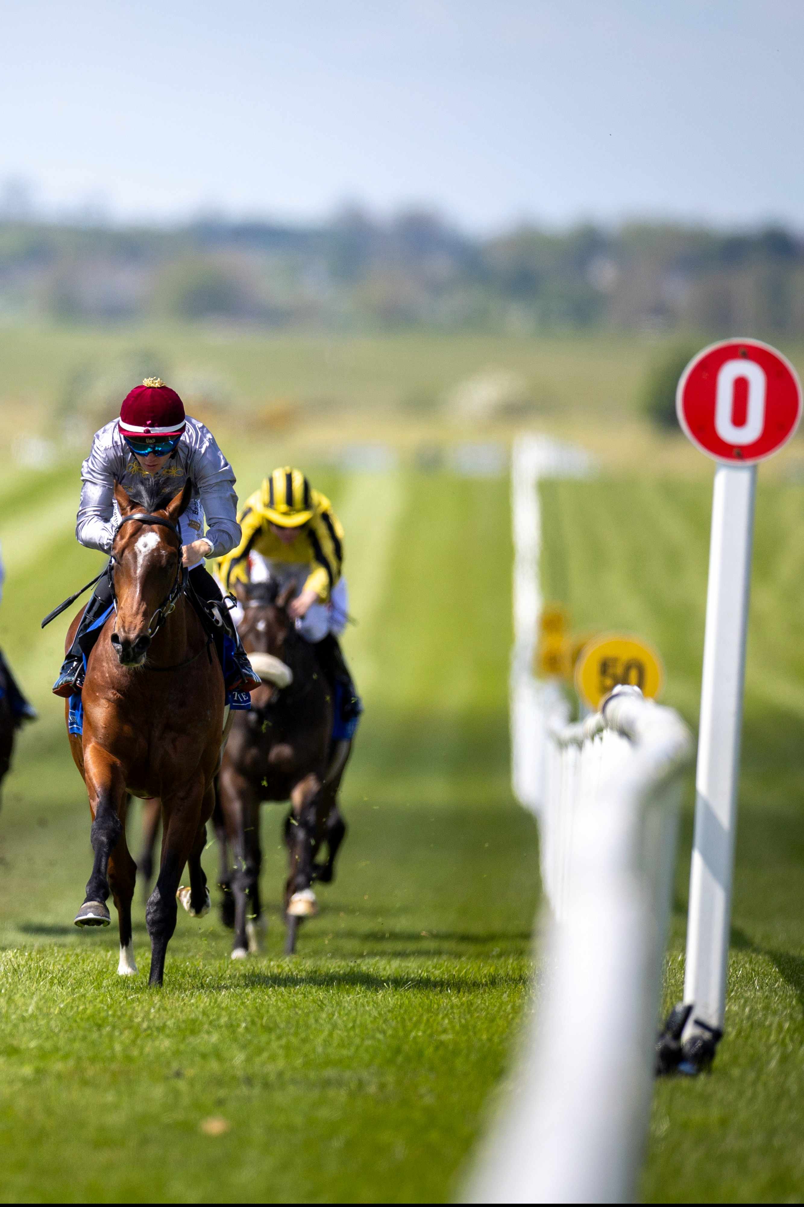 Irish Horseracing Board