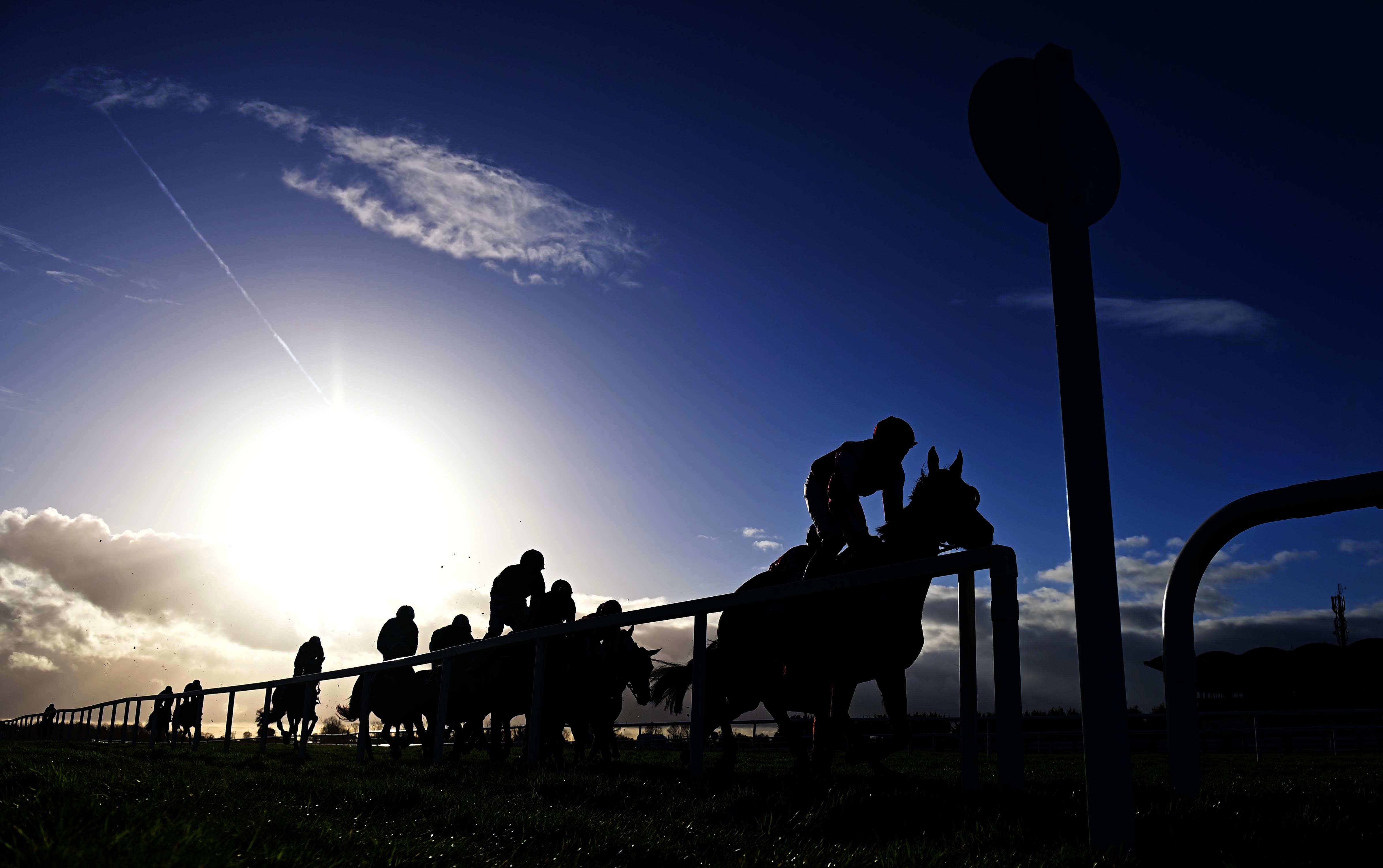 Irish Horseracing Board