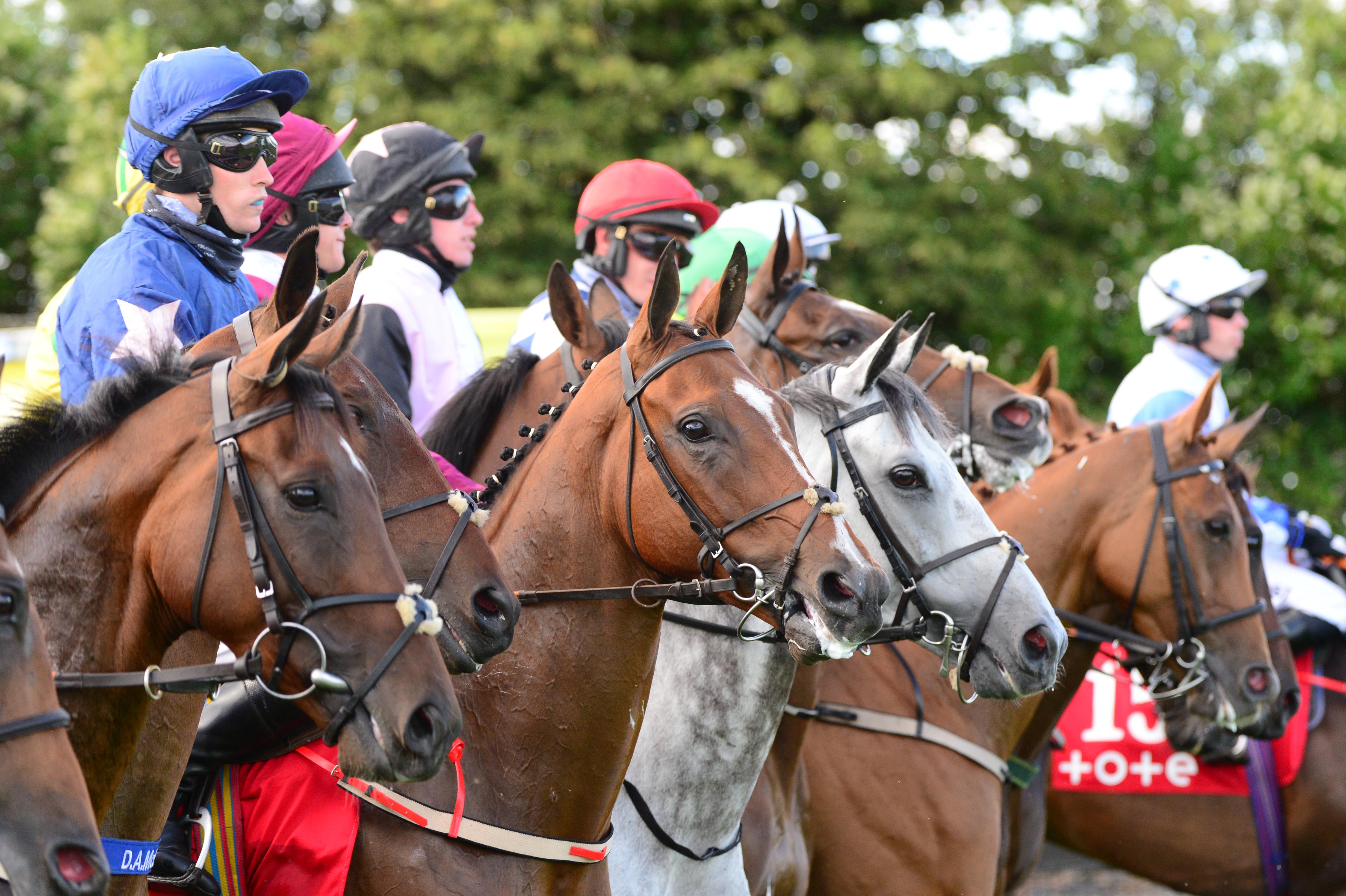 Irish Horseracing Board