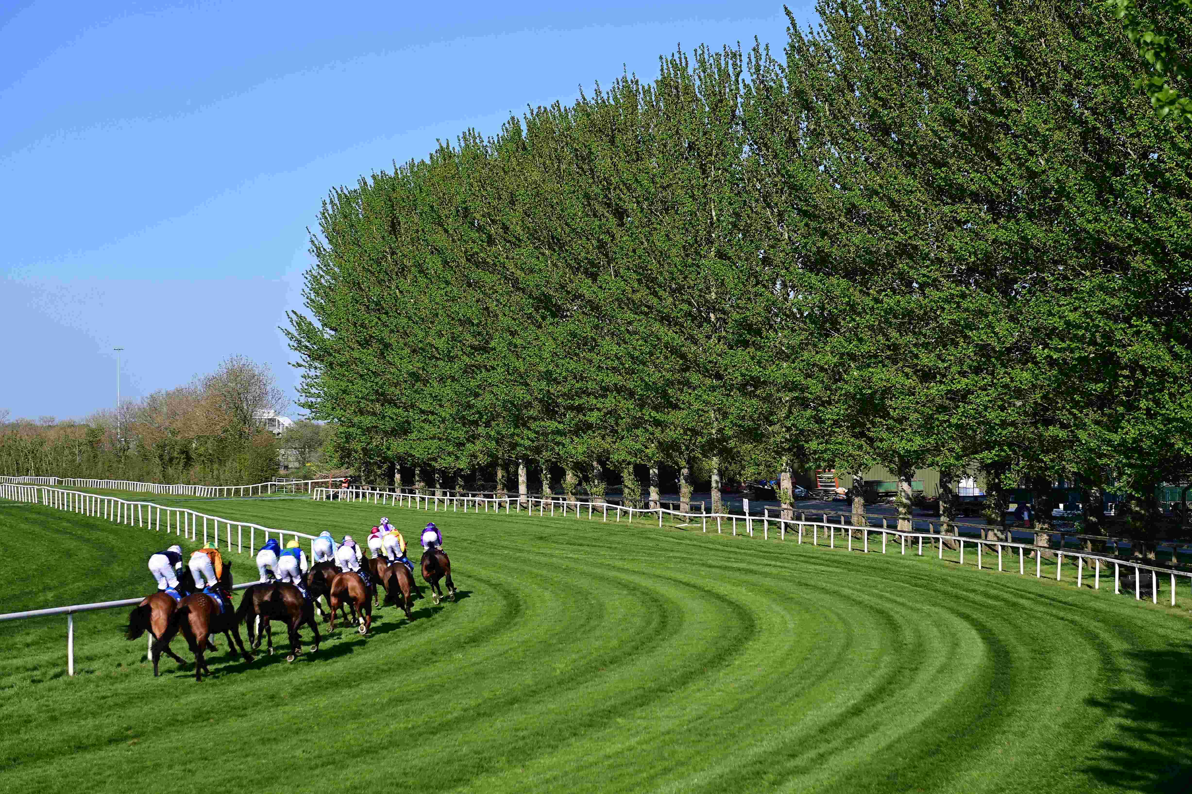 Racecourse Safety Limits 