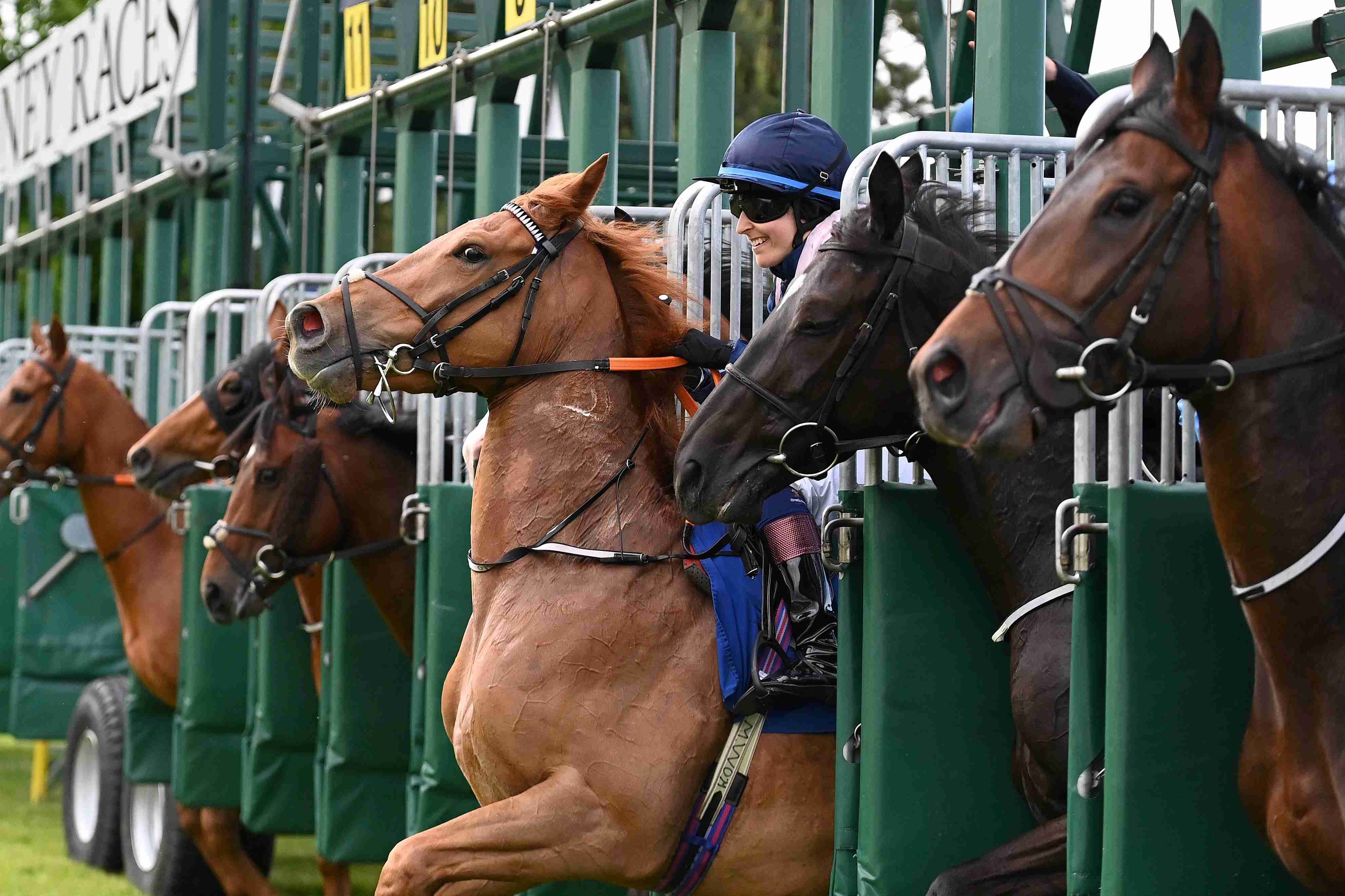 Stable Staff Registration 
