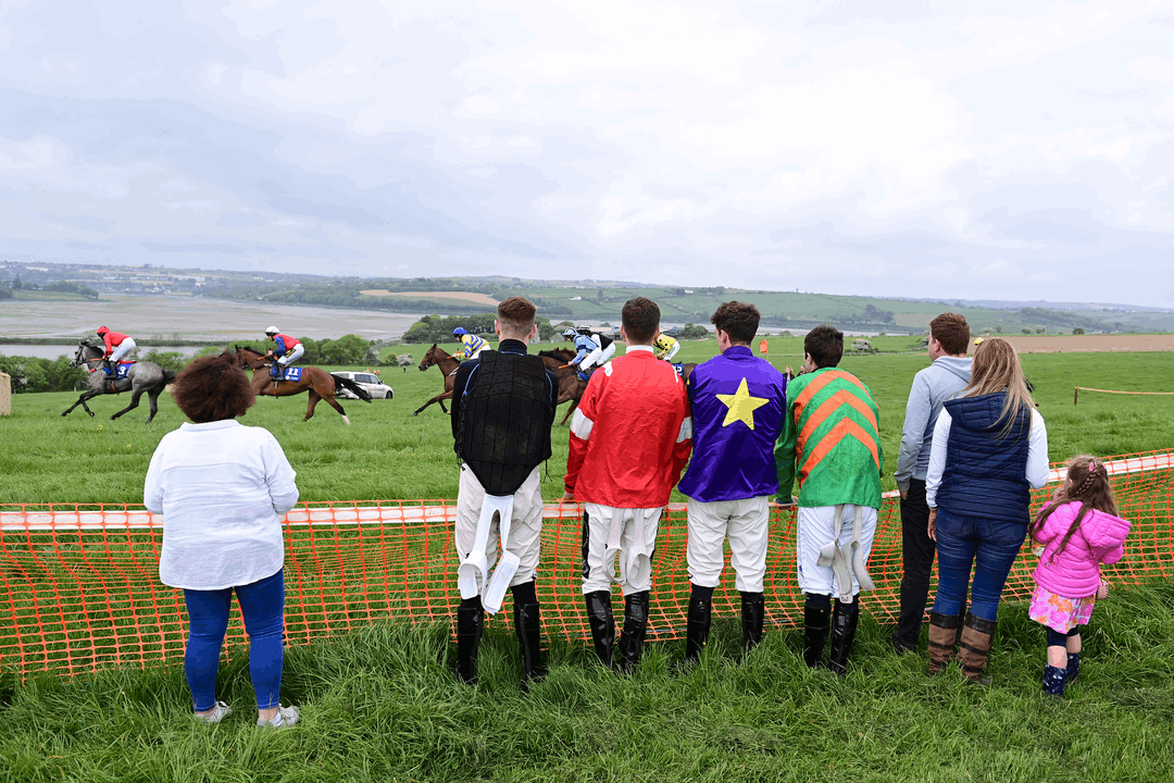 Point to Point Suspension Guidelines