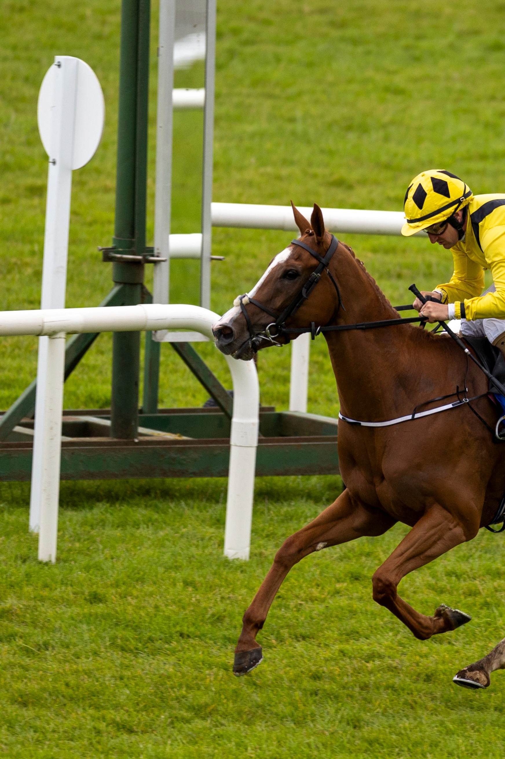 Fairyhouse 