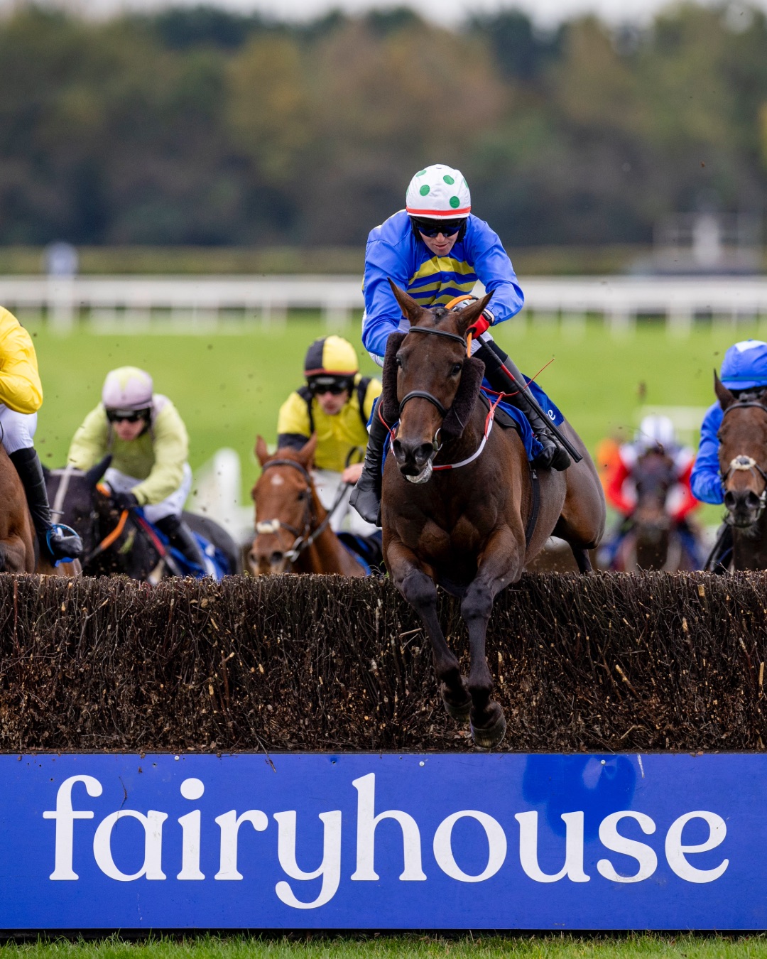 Fairyhouse 