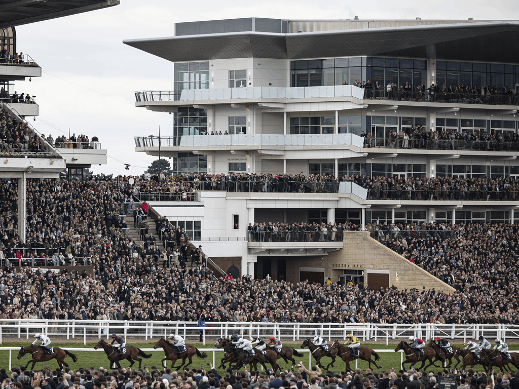 Irish Horseracing Board