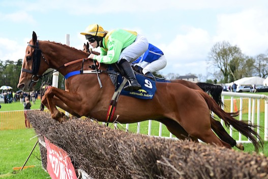 Weekly National Hunt Ratings