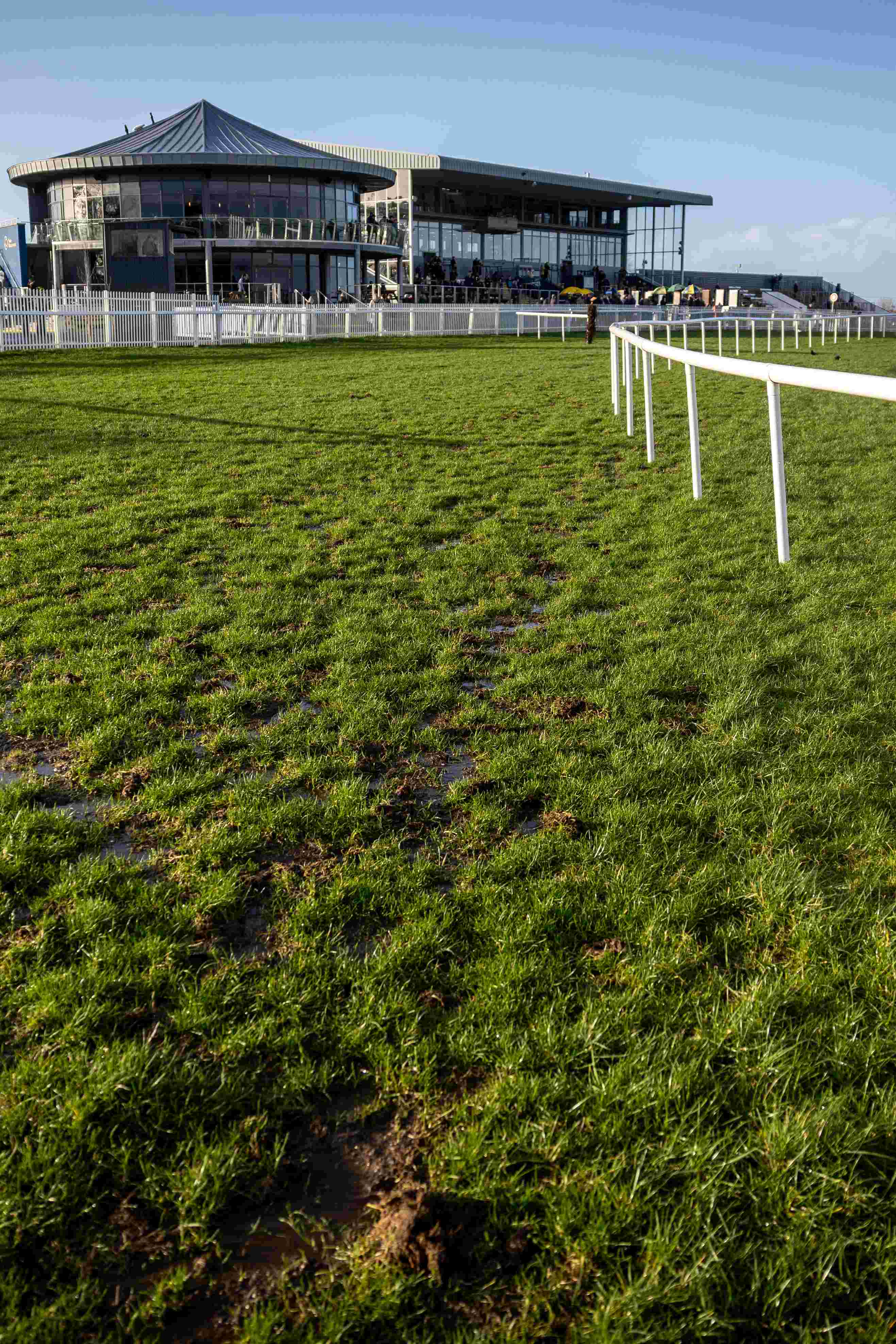 Naas Ground Report 