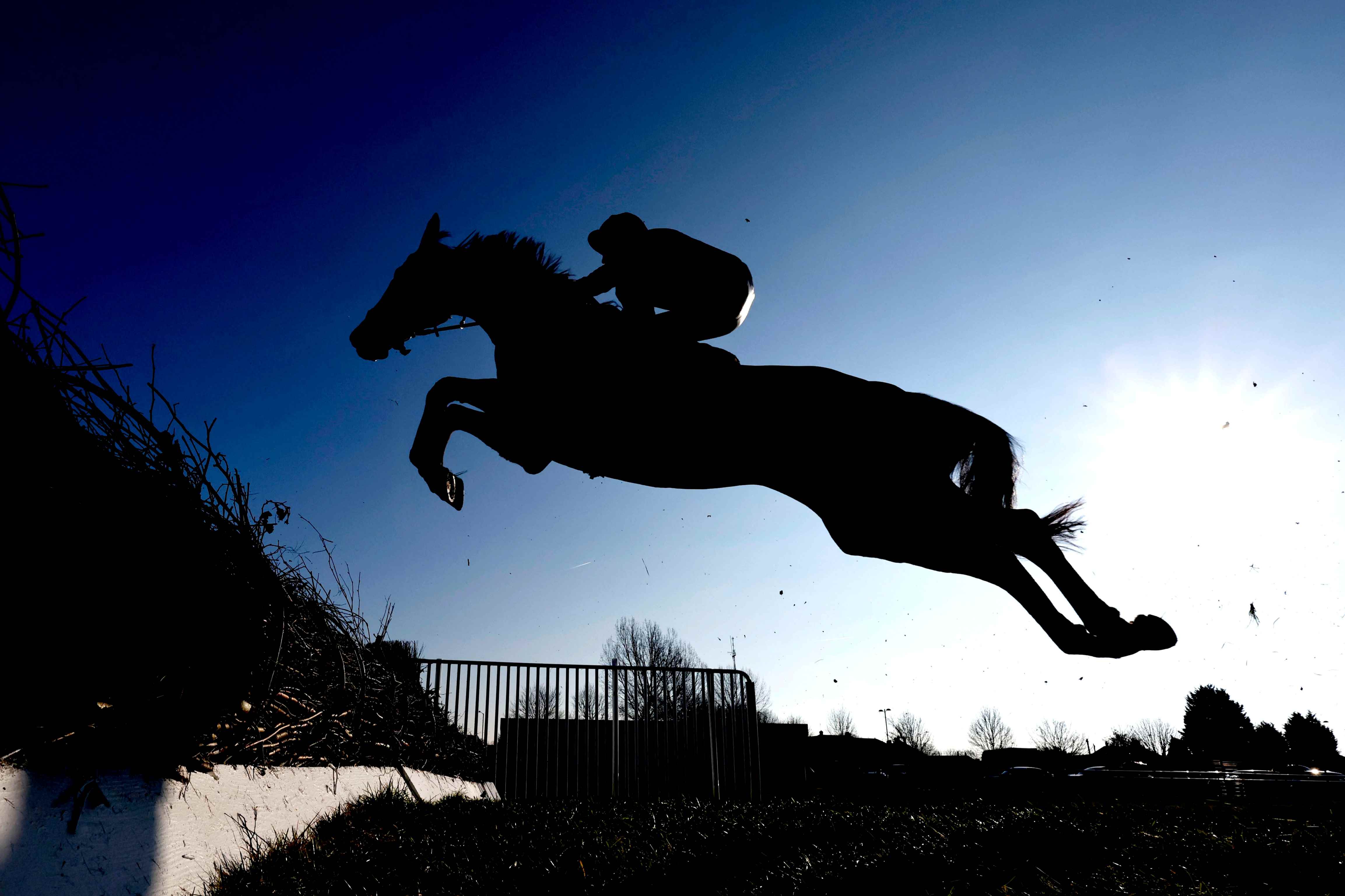 Jockey Suspension Dates
